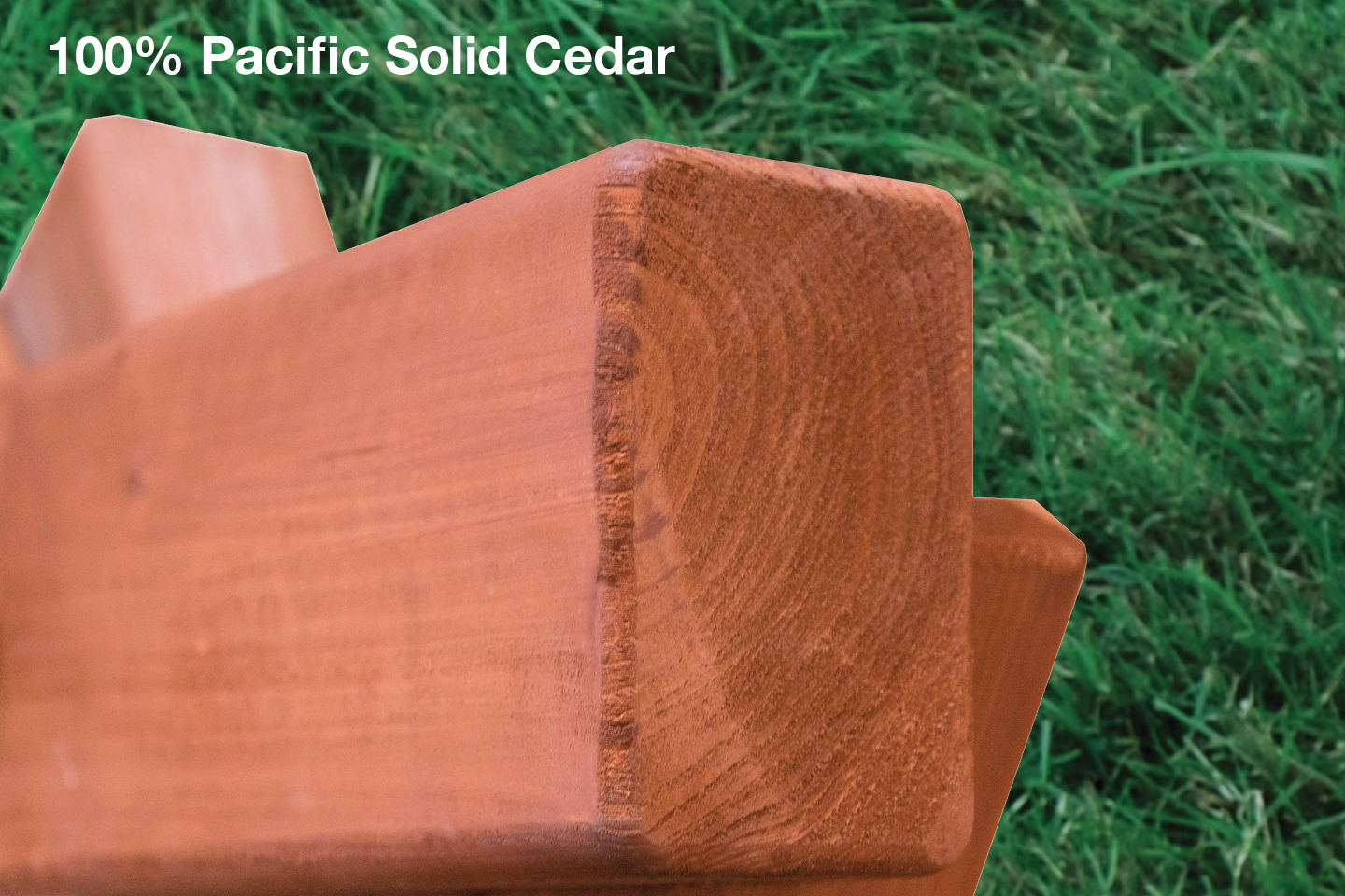 01-PG1_Safety_PacificCedar